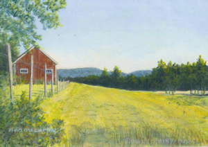 Summer Field